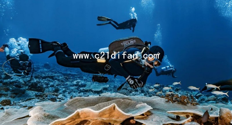 640.webp (1)