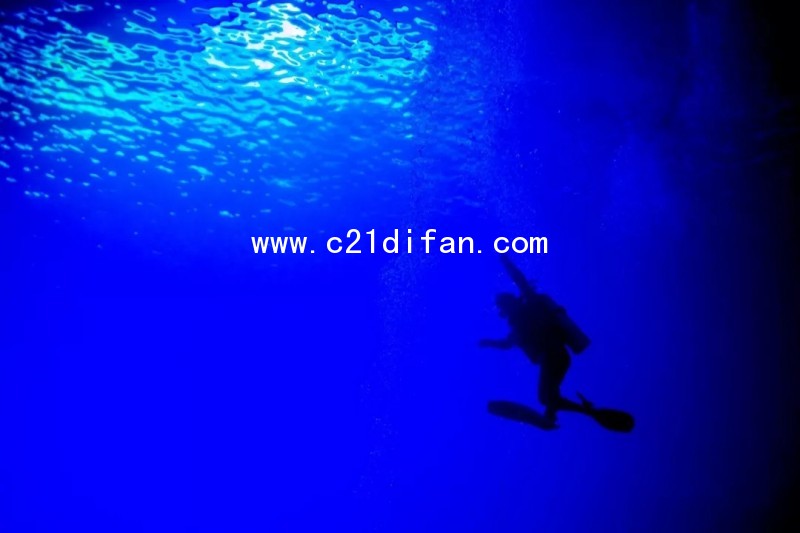 640.webp (4)